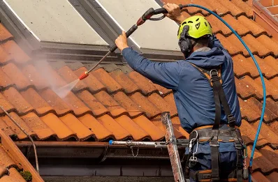 Démoussage et hydrofuge de toiture à Aussac